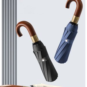 10 rib fully automatic umbrella